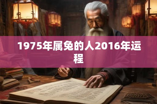 1975年属兔的人2016年运程