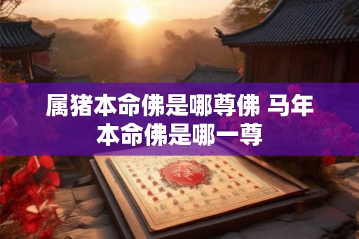 属猪本命佛是哪尊佛 马年本命佛是哪一尊