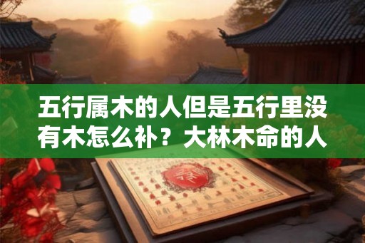 五行属木的人但是五行里没有木怎么补？大林木命的人适合做什么行业？