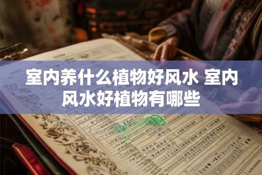 室内养什么植物好风水 室内风水好植物有哪些 室内养什么植物好风水 室内风水好植物有哪些