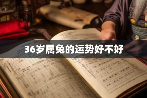 36岁属兔的运势好不好