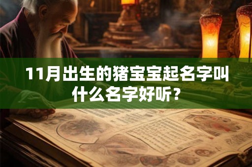 11月出生的猪宝宝起名字叫什么名字好听? 11月出生的猪宝宝起名字叫什么名字好听?