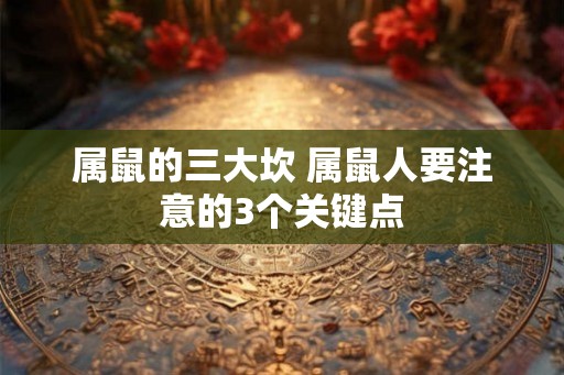 属鼠的三大坎 属鼠人要注意的3个关键点 属鼠的三大坎 属鼠人要注意的3个关键点