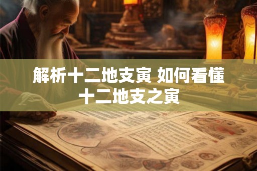解析十二地支寅 如何看懂十二地支之寅