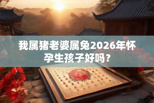 我属猪老婆属兔2026年怀孕生孩子好吗？