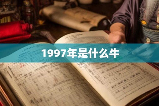 1997年是什么牛 1997年是什么牛