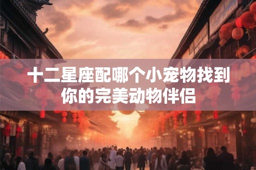 十二星座配哪个小宠物找到你的完美动物伴侣