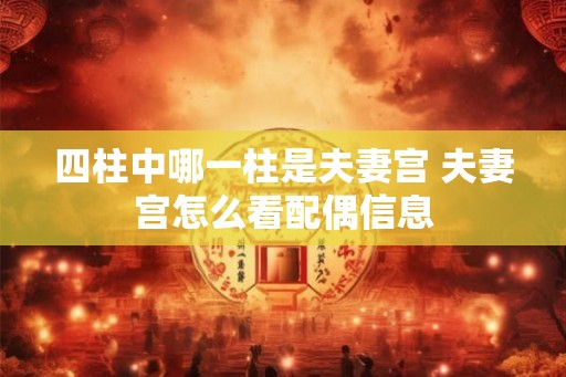 四柱中哪一柱是夫妻宫 夫妻宫怎么看配偶信息 四柱中哪一柱是夫妻宫 夫妻宫怎么看配偶信息