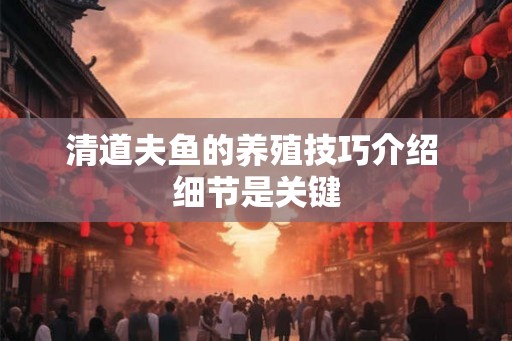 清道夫鱼的养殖技巧介绍 细节是关键