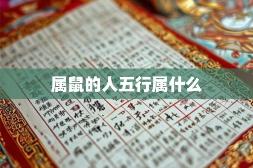 属鼠的人五行属什么