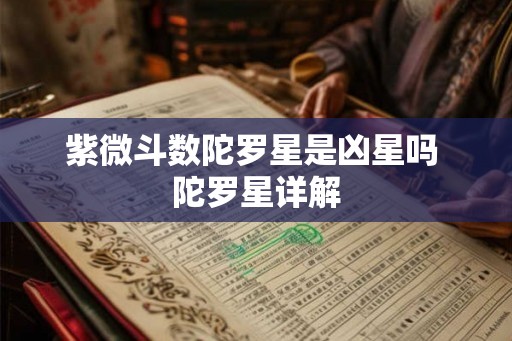 紫微斗数陀罗星是凶星吗 陀罗星详解 紫微斗数陀罗星是凶星吗 陀罗星详解