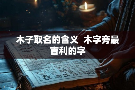 木子取名的含义  木字旁最吉利的字