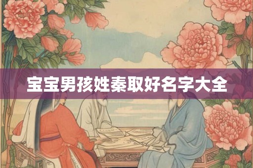 宝宝男孩姓秦取好名字大全
