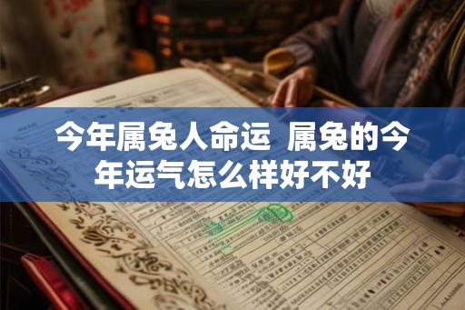 今年属兔人命运  属兔的今年运气怎么样好不好