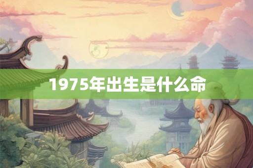 1975年出生是什么命