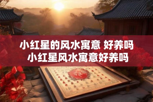 小红星的风水寓意 好养吗 小红星风水寓意好养吗 小红星的风水寓意 好养吗 小红星风水寓意好养吗