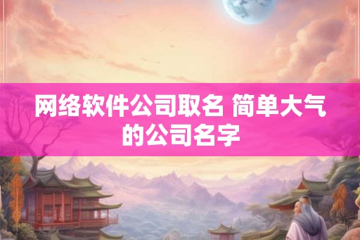 网络软件公司取名 简单大气的公司名字