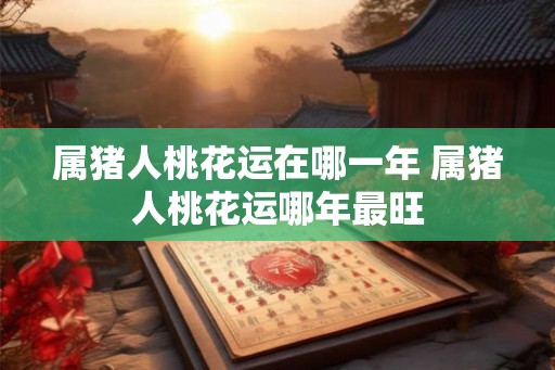 属猪人桃花运在哪一年 属猪人桃花运哪年最旺