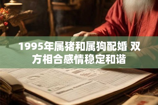 1995年属猪和属狗配婚 双方相合感情稳定和谐