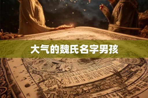 大气的魏氏名字男孩