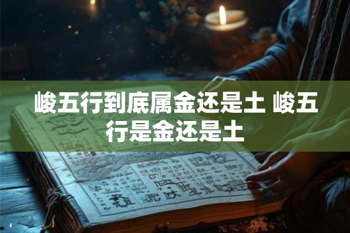 峻五行到底属金还是土 峻五行是金还是土