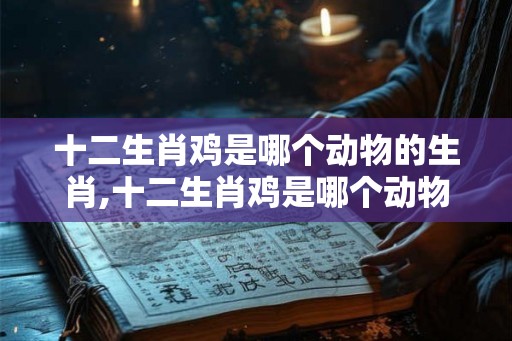十二生肖鸡是哪个动物的生肖,十二生肖鸡是哪个动物的生肖呢