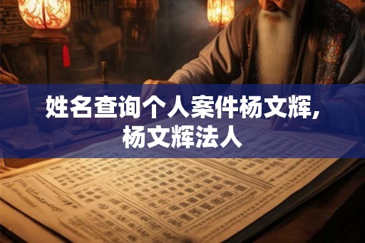 姓名查询个人案件杨文辉,杨文辉法人