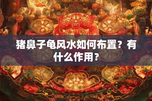 猪鼻子龟风水如何布置？有什么作用？