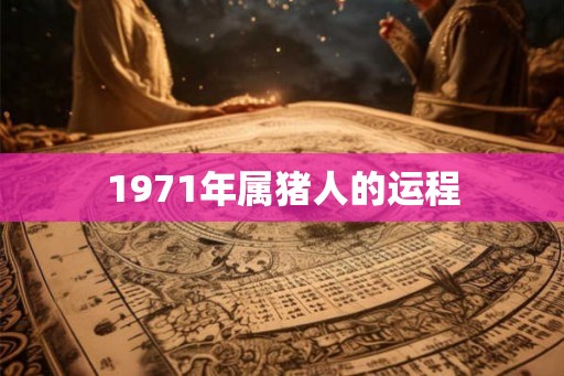 1971年属猪人的运程