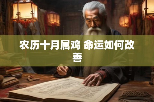农历十月属鸡 命运如何改善 农历十月属鸡 命运如何改善