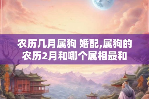 农历几月属狗 婚配,属狗的农历2月和哪个属相最和