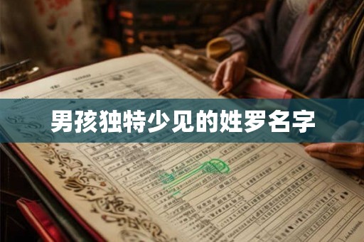 男孩独特少见的姓罗名字