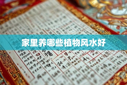 家里养哪些植物风水好