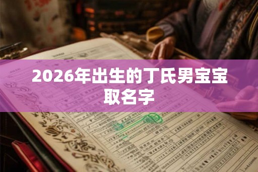 2026年出生的丁氏男宝宝取名字