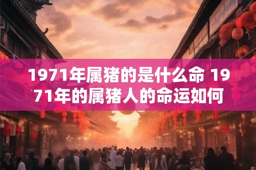 1971年属猪的是什么命 1971年的属猪人的命运如何