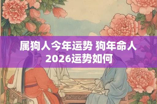 属狗人今年运势 狗年命人2026运势如何