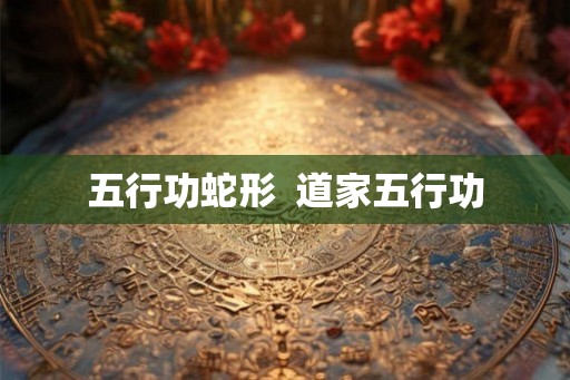 五行功蛇形  道家五行功