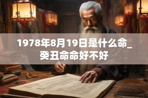 1978年8月19日是什么命_癸丑命命好不好