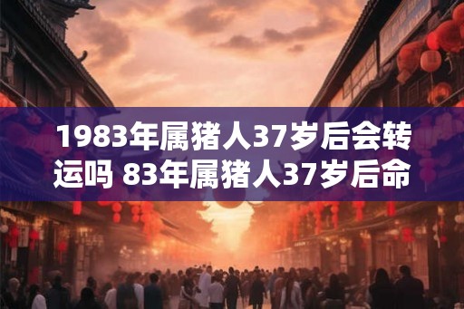 1983年属猪人37岁后会转运吗 83年属猪人37岁后命运如何