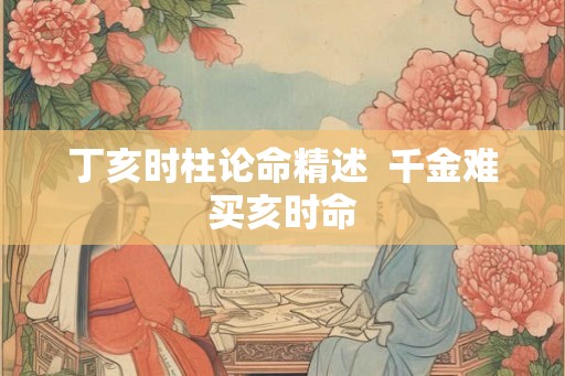 丁亥时柱论命精述  千金难买亥时命