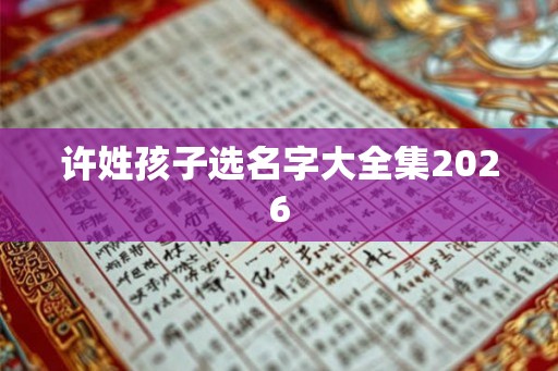 许姓孩子选名字大全集2026 许姓孩子选名字大全集2026