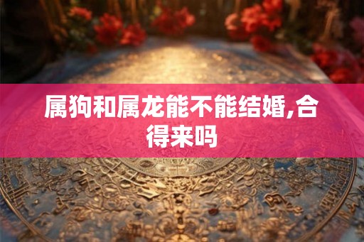 属狗和属龙能不能结婚,合得来吗