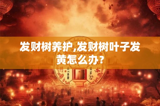 发财树养护,发财树叶子发黄怎么办？