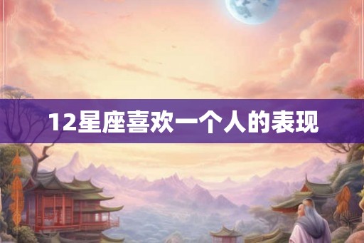12星座喜欢一个人的表现