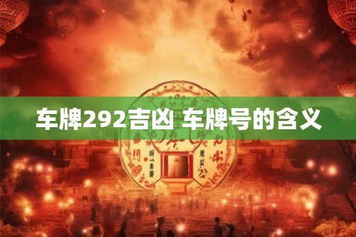 车牌292吉凶 车牌号的含义