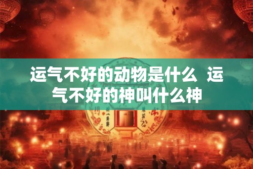 运气不好的动物是什么  运气不好的神叫什么神