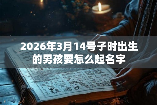 2026年3月14号子时出生的男孩要怎么起名字