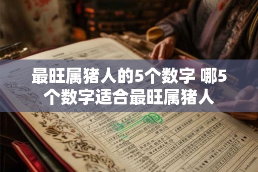 最旺属猪人的5个数字 哪5个数字适合最旺属猪人