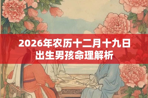 2026年农历十二月十九日出生男孩命理解析