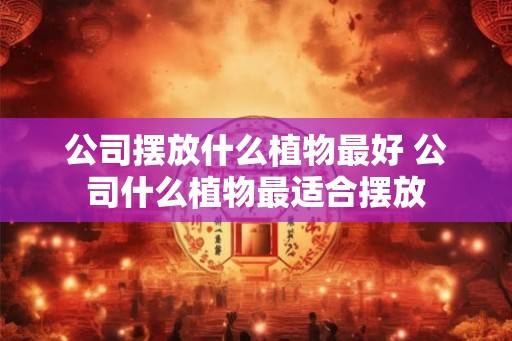 公司摆放什么植物最好 公司什么植物最适合摆放